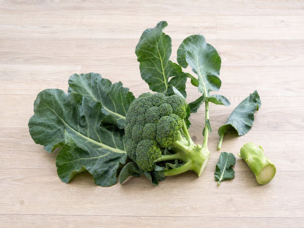 Whole broccoli head with its large dark leaves still attached to the stalk