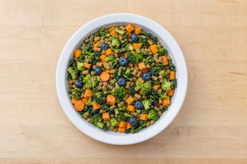 Bird bowl with formulated pellets, chopped sweet potato, broccoli, leafy greens and blueberries